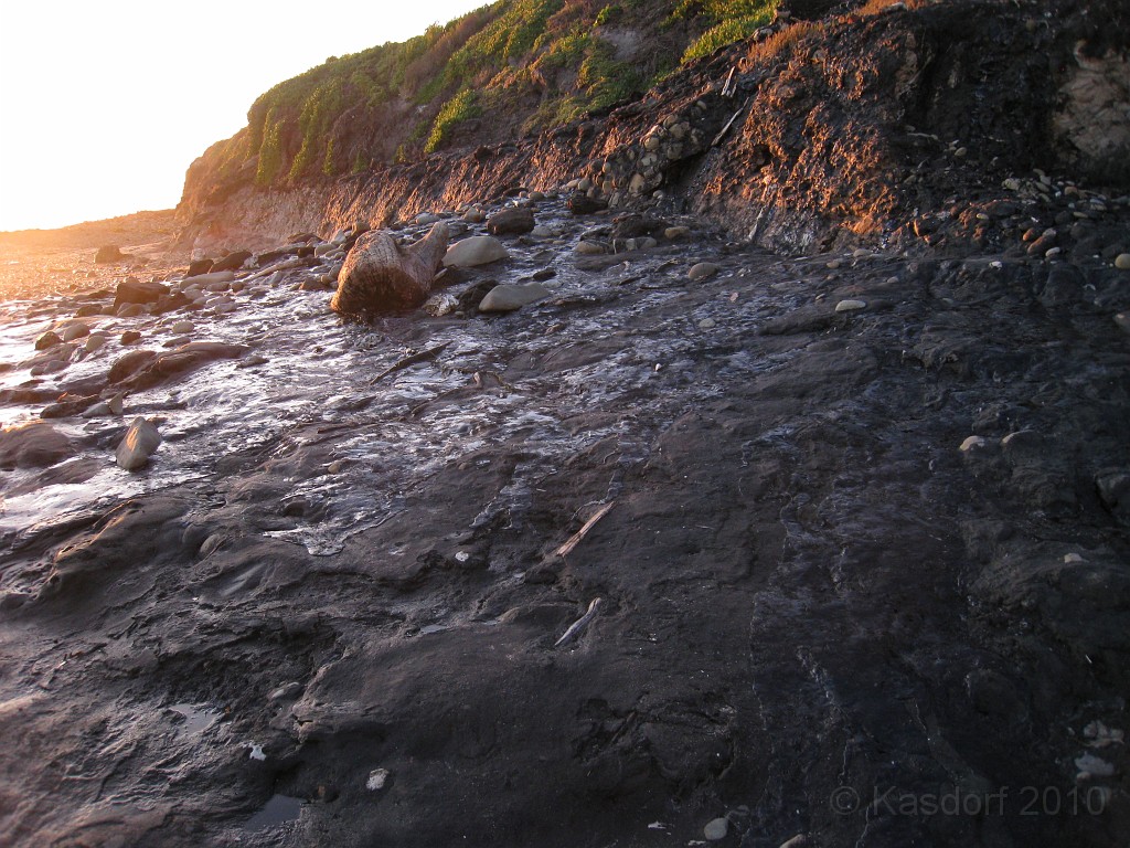 Carpinteria California 2010-02 0870.jpg - A trip to Carpinteria California. Surfing, food, beachs... and tar pits.